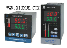 XZ系列智能PID调节器
